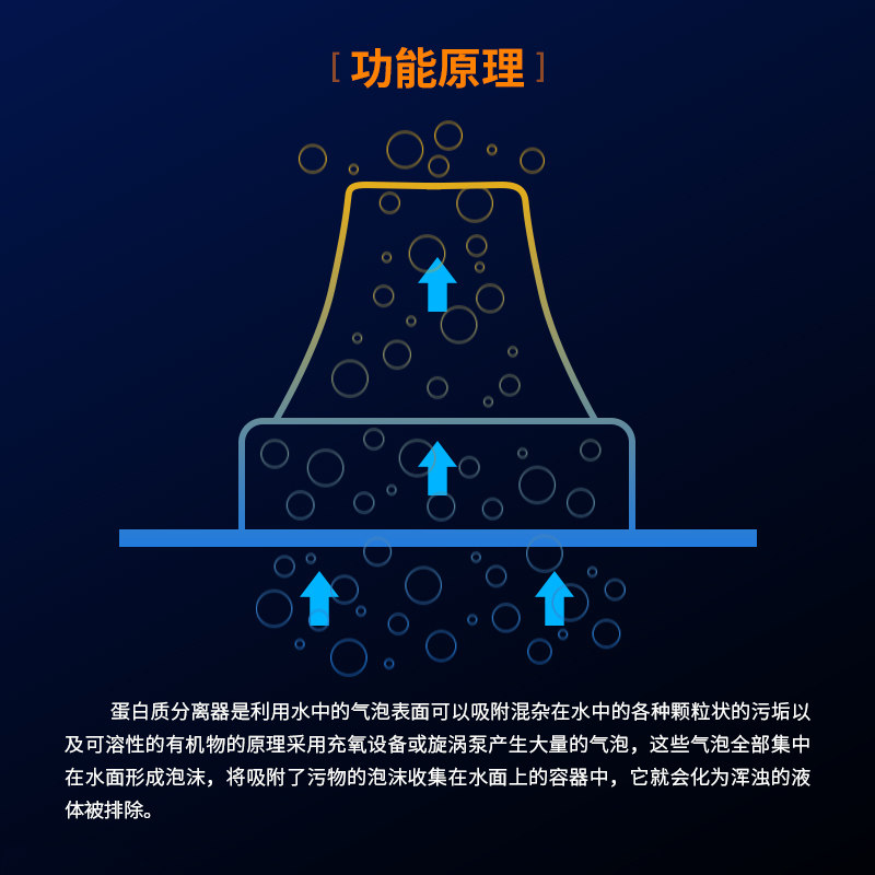 迷你蛋分 海水缸蛋白分离器气动免水泵蛋分器 小型蛋白过滤器海水