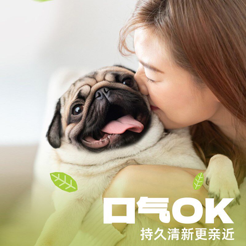 【囤货装】齿能OK结骨狗零食磨牙缓解分离焦虑洁齿骨独立装50支