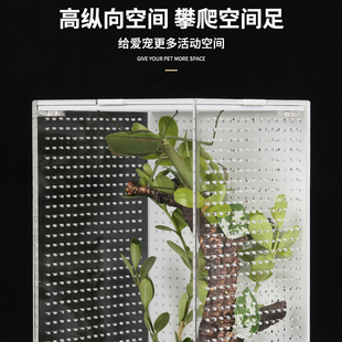 Reptizoo亚克力饲养盒竹蛉昆虫盒螳螂罐蝈蝈笼子鸣虫生态盒蟋蟀箱