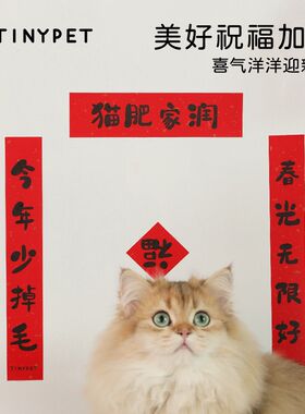 猫生赢家 宠物春联对联新年迷你春联 春节兔年猫咪对联装饰贴纸