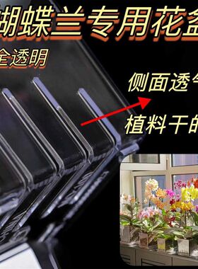 识兰高透明方形透气简约塑料桌面花盆蝴蝶兰洋兰专用观根控根盆