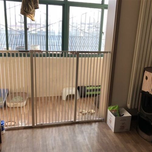 宠物隔离猫门栏猫笼子狗围栏兔泰迪金毛加高加密高度防护栏可定制
