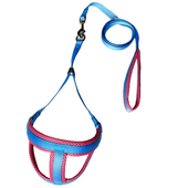 宠物外出溜狗牵引绳泰迪比熊小型犬工字型透气网胸背式 狗链子狗绳