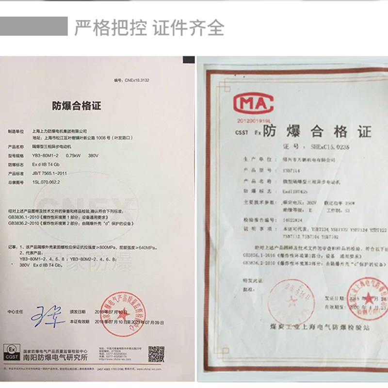 【沪析】2XZF-0.5/1/2/4/6/8/15L防爆直联空调旋片式真空泵实验室