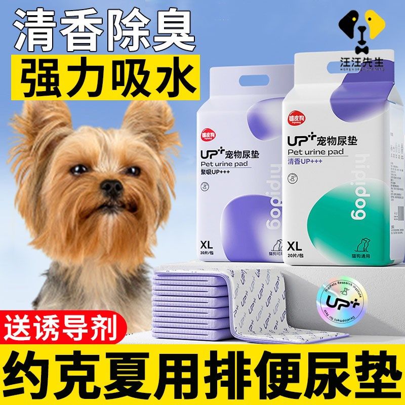 约克夏专用狗狗尿垫诱导引导上厕所宠物吸尿纸小狗一次性隔尿垫,宠物/宠物食品及用品,尿片/尿垫/护垫,淘宝优惠券,粉丝福利购,淘宝优惠卷