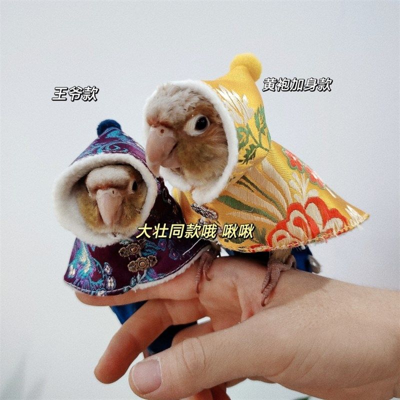 嬛嬛款鸟衣服鹦鹉披风玄凤加厚保暖外出服鹦鹉用品鸟用品,宠物/宠物食品及用品,鸟禽服饰,淘宝优惠券,粉丝福利购,淘宝优惠卷