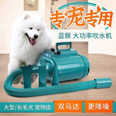 蓝豚大功率大型犬双马达宠物吹水机金毛狗狗吹风机吹毛机