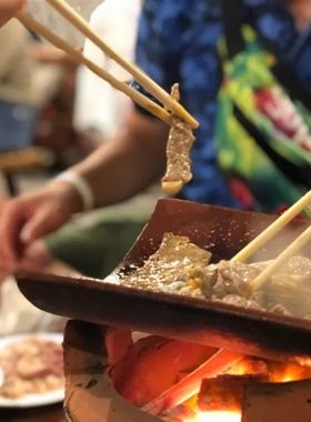 木炭瓦片烧烤炉瓦片烤肉炉商用单人火锅炉家用煲汤碳炉炭炉威氏炉