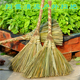 包邮 手工编织户外扫把清洁扫雪扫泥土植物扫帚硬毛加厚工地装 修用