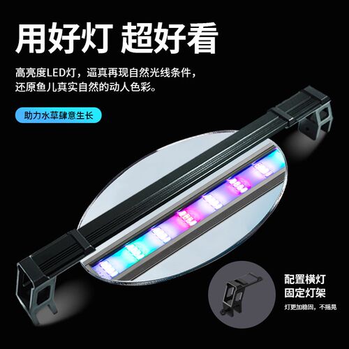 超白玻璃鱼缸养鱼日记客厅侧滤鱼缸桌面生态溪流缸自循环小水草缸