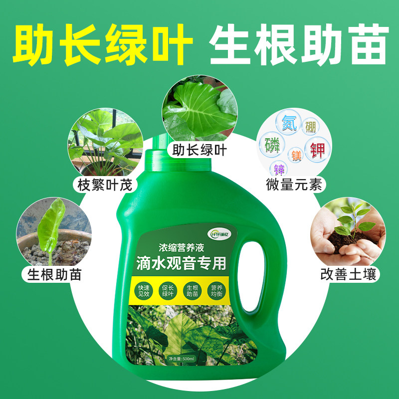 滴水观音肥料绿植专用肥植物营养液海芋复合有机缓释家庭园艺盆栽,鲜花速递/花卉仿真/绿植园艺,介质/营养土,淘宝优惠券,粉丝福利购,淘宝优惠卷
