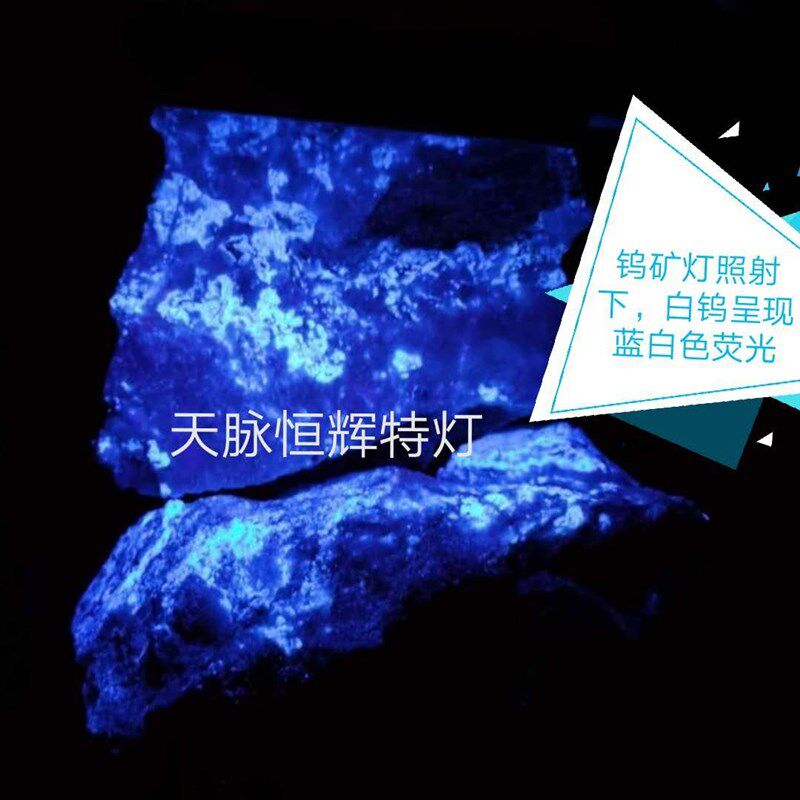 白钨矿灯 探矿紫外灯 钨矿灯  紫外荧光灯野外找矿 可充电
