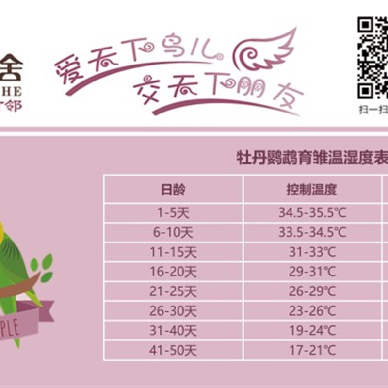 鹦鹉保温箱智能恒温风暖玄凤牡丹手养幼鸟保温爬宠饲养箱大号