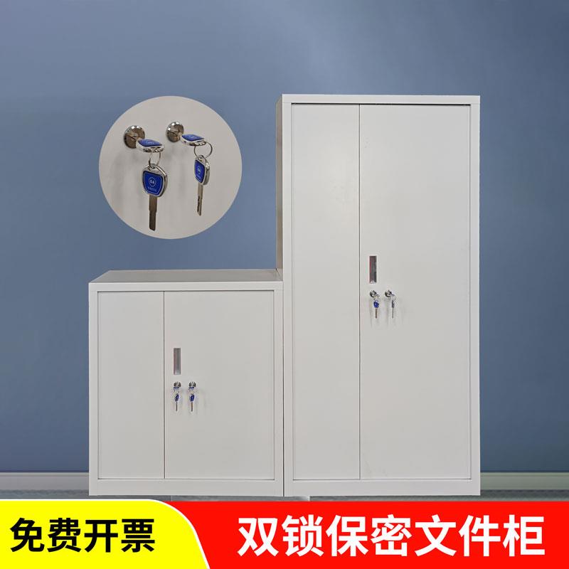 双人双锁保密文件柜学校档案柜试剂柜药品柜毒麻柜铁皮柜资料柜