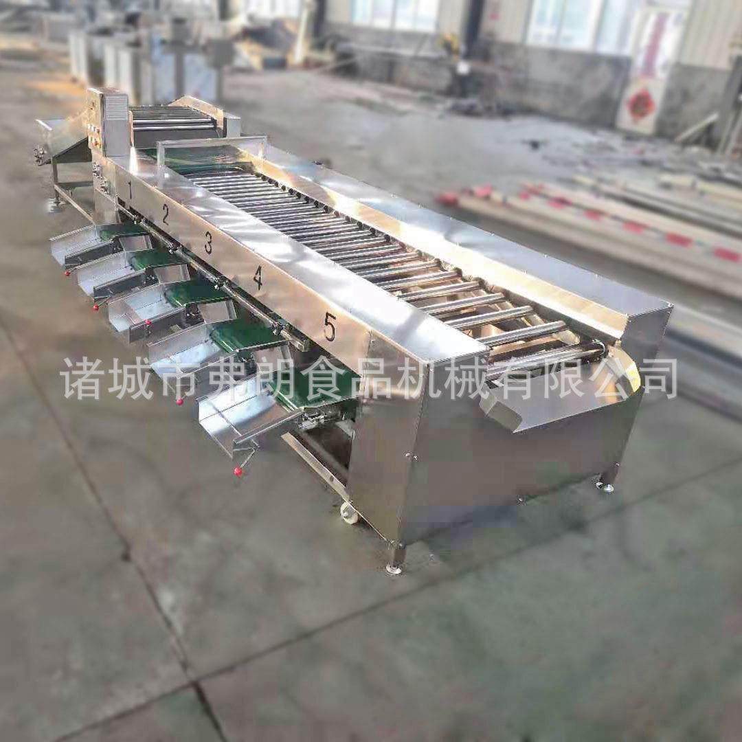 果蔬清洗分级设备流水线 金枣分级机 水果大小分选机 冬枣分级机,清洗/食品/商业设备,果蔬加工设备,淘宝优惠券,粉丝福利购,淘宝优惠卷