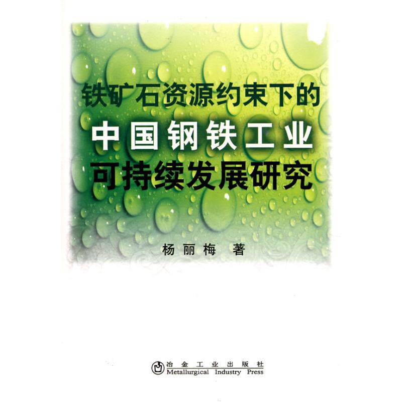 正版图书 铁矿石资源约束下的中国钢铁工业可持续发展研究杨丽梅杨丽梅著9787502451691冶金工业出版社
