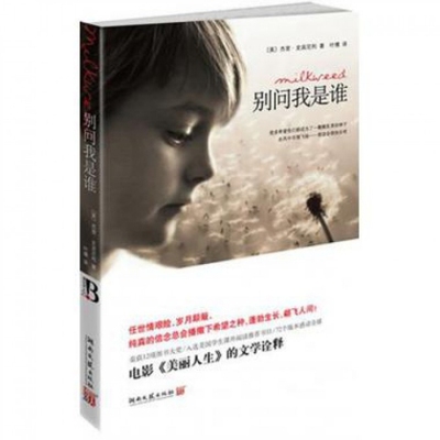 【正版图书】别问我是谁美史宾尼利SpinelliJ叶译787540448073湖南文艺出版社