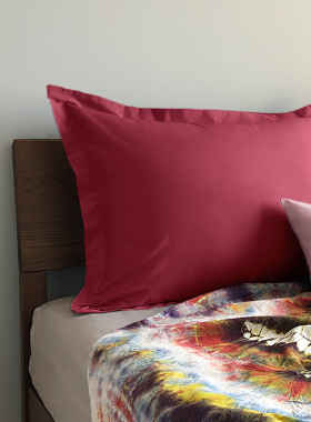 大号纯棉枕头套50x80单个60x80加大尺寸60x90枕套靠枕65x85抱枕套