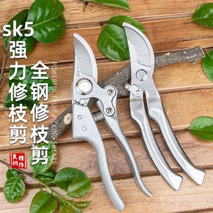 SK5剪刀修枝剪园艺剪刀果树花卉弹簧剪子剪树枝专用剪刀园林工具