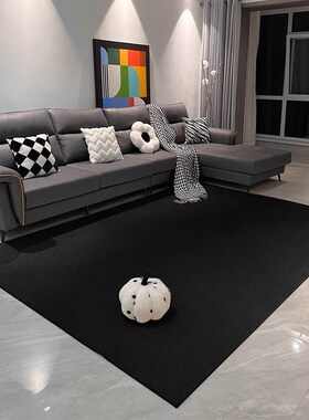 纯黑色极简地毯轻奢高级感仿羊毛地垫客厅沙发垫卧室满铺隔音垫子