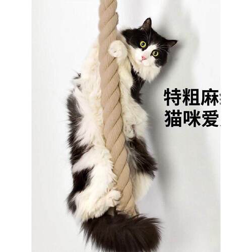 可挂可绑特粗猫咪攀爬绳麻绳轻松小户型不占地通天绳宠物磨爪解闷