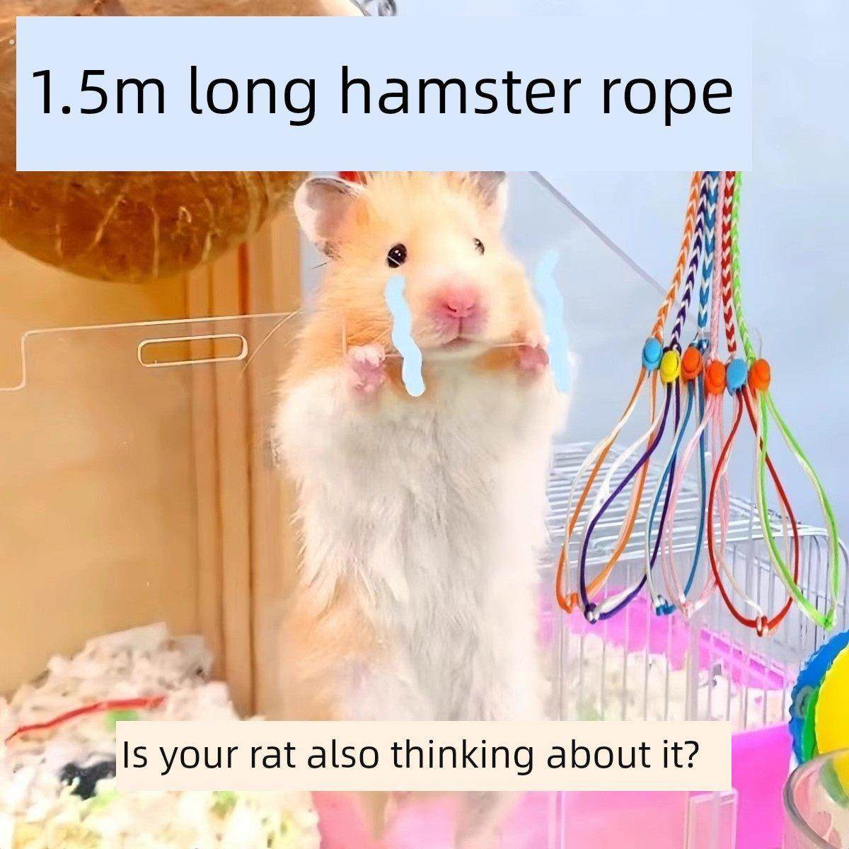 采购产品可伸缩的吊索，仓鼠牵引绳，老鼠绳，兔子绳，鸭子，豚鼠,宠物/宠物食品及用品,兔绳,淘宝优惠券,粉丝福利购,淘宝优惠卷