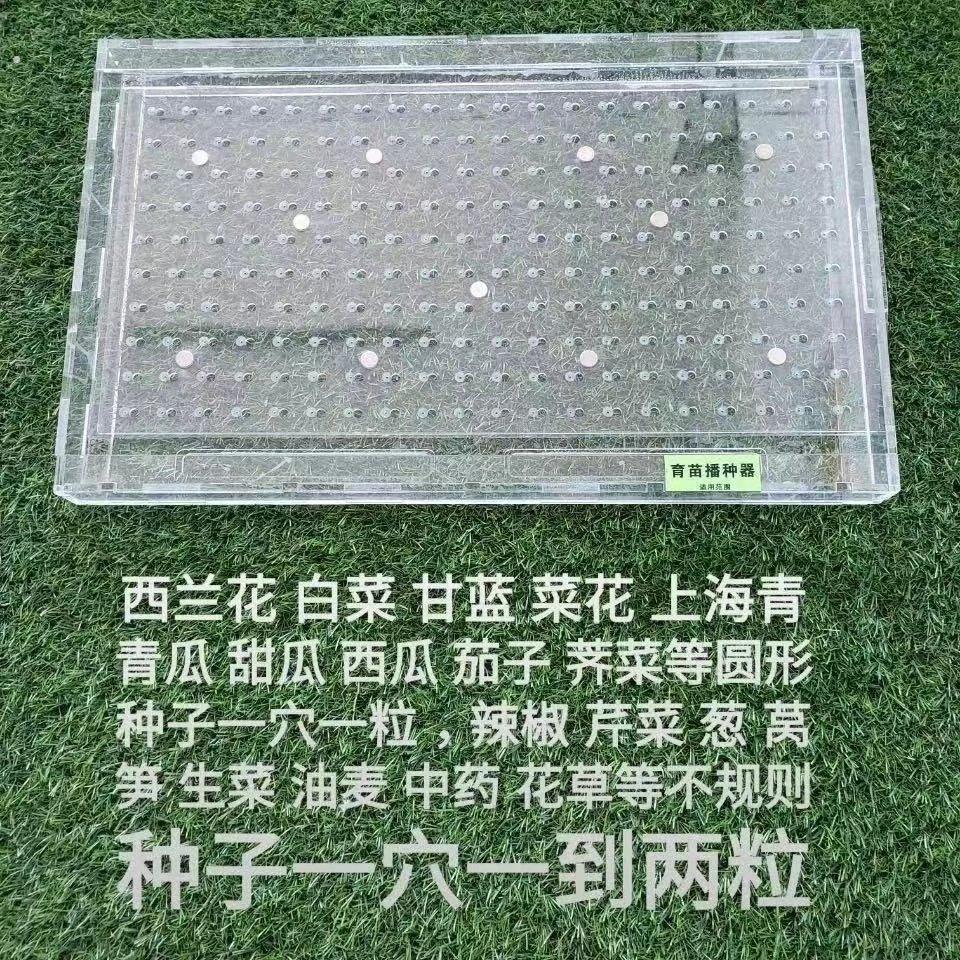 育苗盘播种器播种机穴盘播种器漂浮盘播种器播种神器播种机点种器