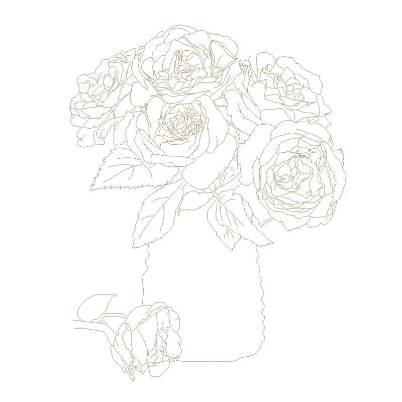 画鸭八开花卉水彩线稿玫瑰花荷花百合临摹水彩纸填色上色初学线描,文具电教/文化用品/商务用品,控笔训练本,淘宝优惠券,粉丝福利购,淘宝优惠卷