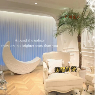 针葵盆栽树苗大型绿植物室内客厅办公室椰子棕榈好养网红好养盆景