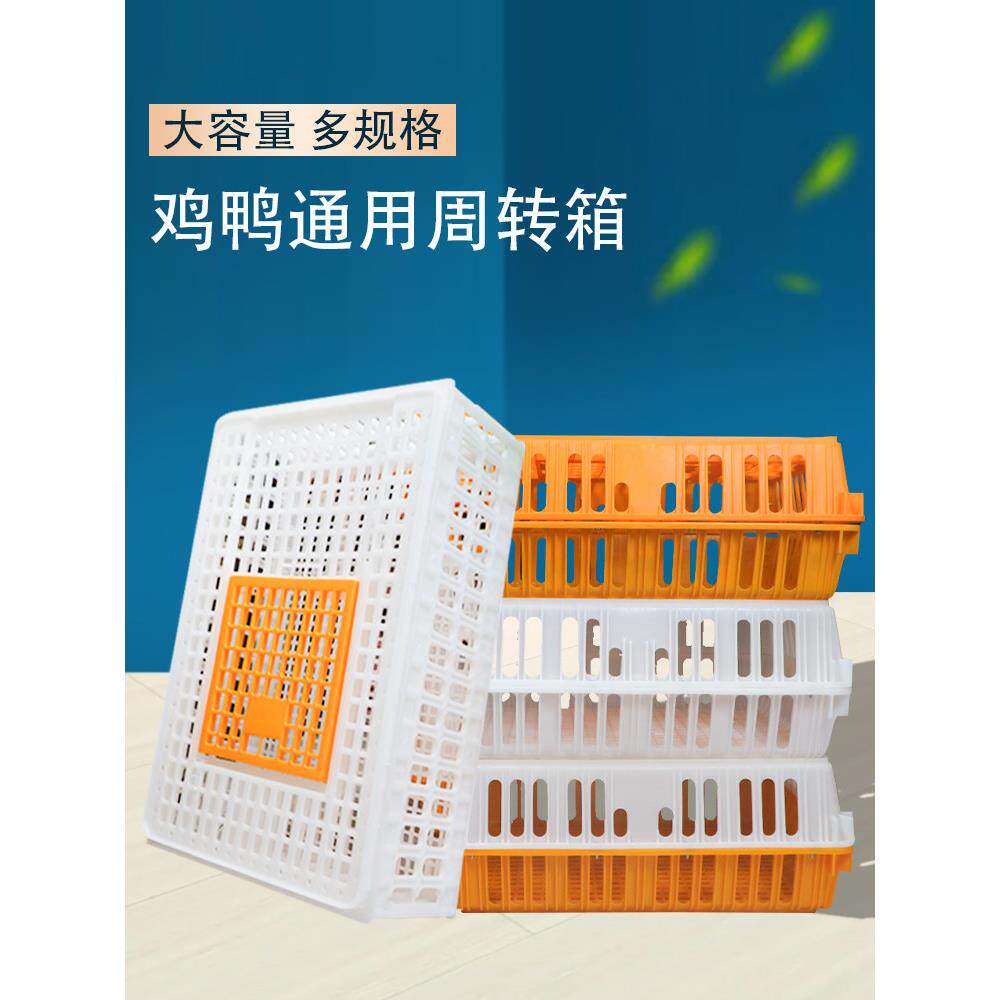 鸡笼运输笼塑料家禽周转箱筐成鸡鸭鹅鸽子笼子家用大号兔笼养殖笼