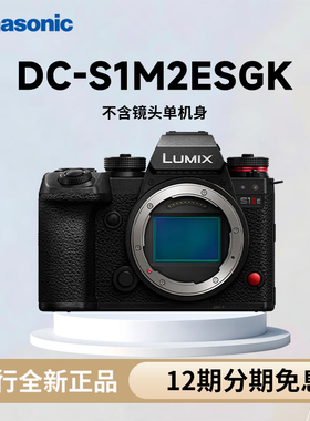 松下S1M2E全画幅专业无反微单数码相机 DC-S1M2ESGK