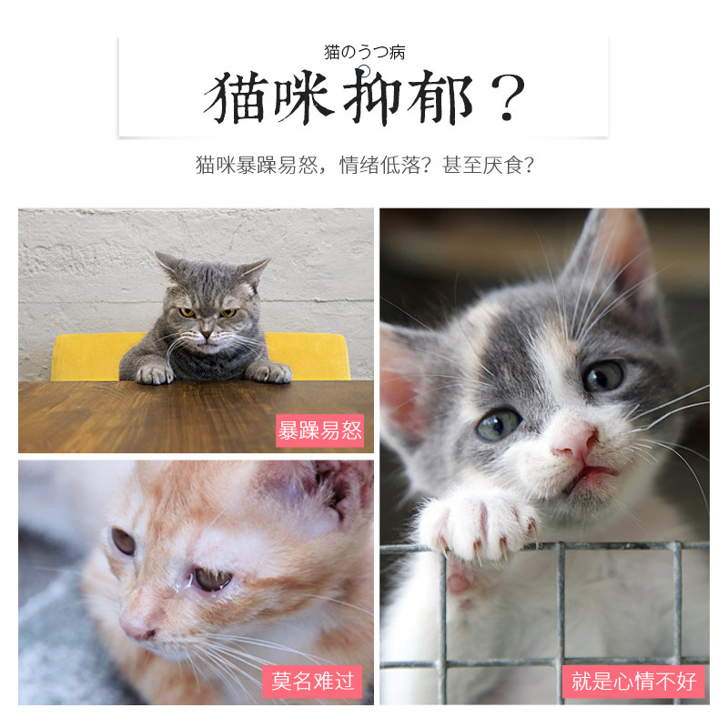 猫咪薄荷球玩具棒棒糖木天蓼猫草猫零食逗猫棒磨牙棒小猫幼猫用品,宠物/宠物食品及用品,逗猫棒,淘宝优惠券,粉丝福利购,淘宝优惠卷