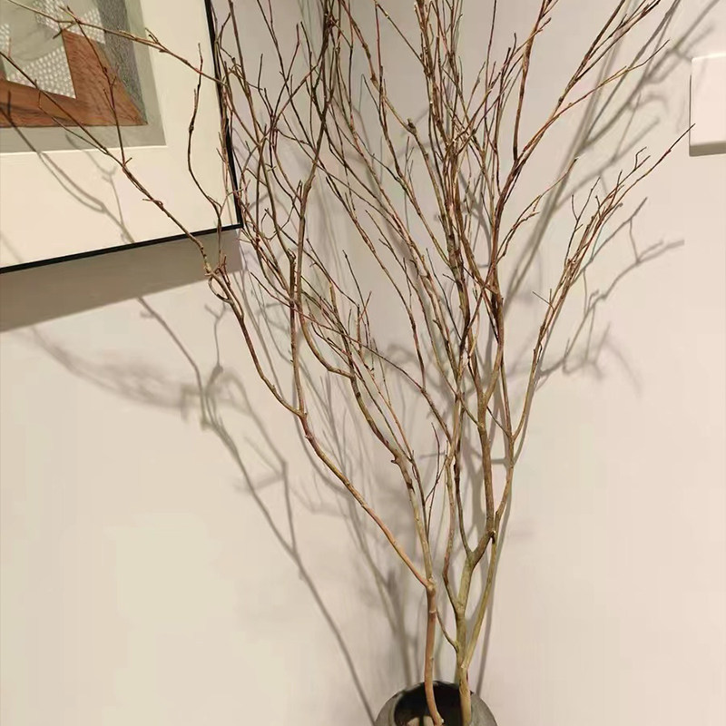 干树枝装饰摆饰艺术造型干燥树枝造景服装店落地摆设花瓶干燥花真,家居饰品,花瓶,淘宝优惠券,粉丝福利购,淘宝优惠卷