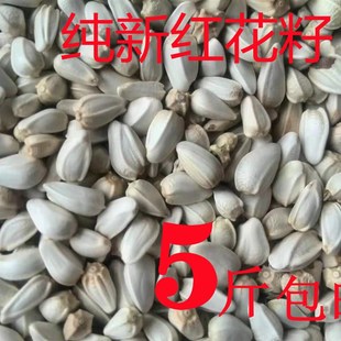 红花子红花籽药材种籽白瓜子鸽粮鹦鹉粮仓鼠鸟食鸟粮饲料五斤包邮