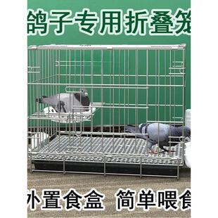 鸽子笼养鸽子专用笼养殖笼家用繁殖笼配对笼大号新型鸽舍鸽子笼子