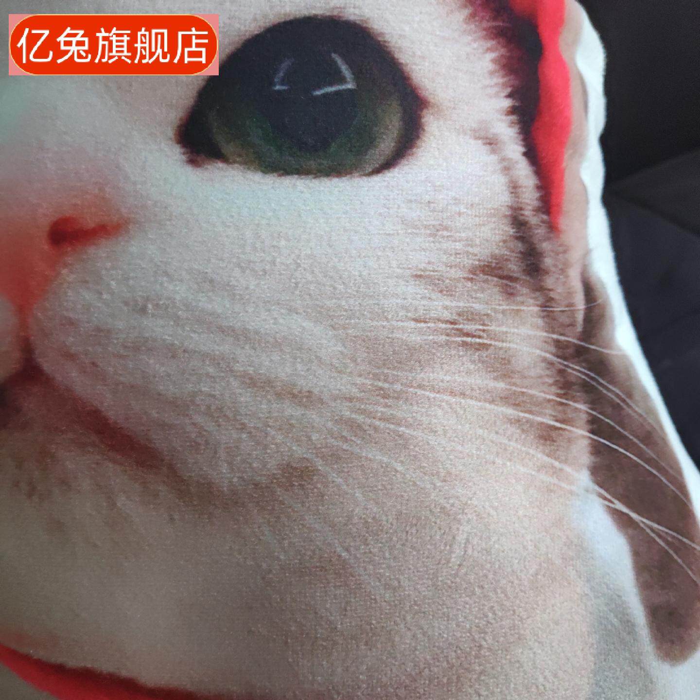 异形宠物抱枕北欧风猫狗照片