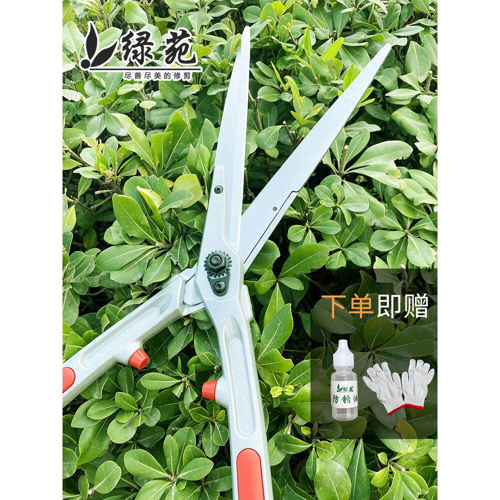 采购产品园艺花剪子,绿化剪子,花园修剪剪子,花和树剪子,草修