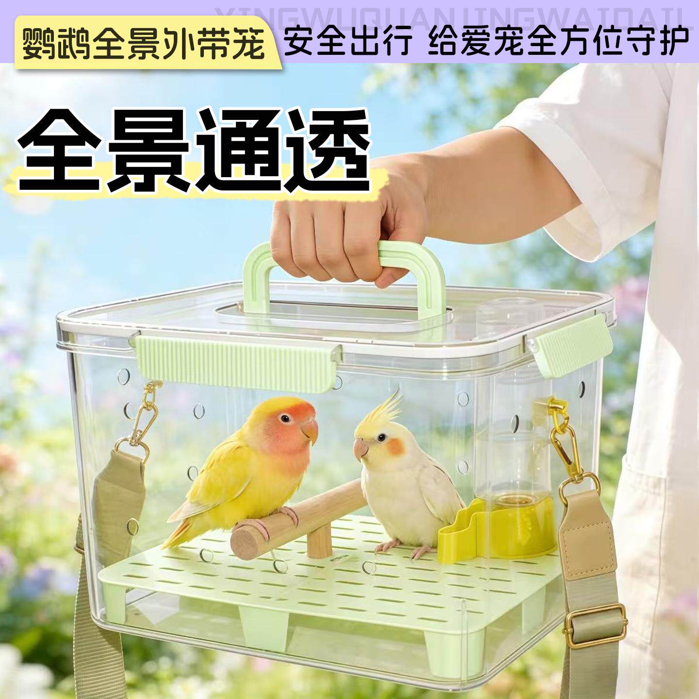 鹦鹉外带笼便携手提虎皮玄凤牡丹小太阳大容量全景高透外出外带包