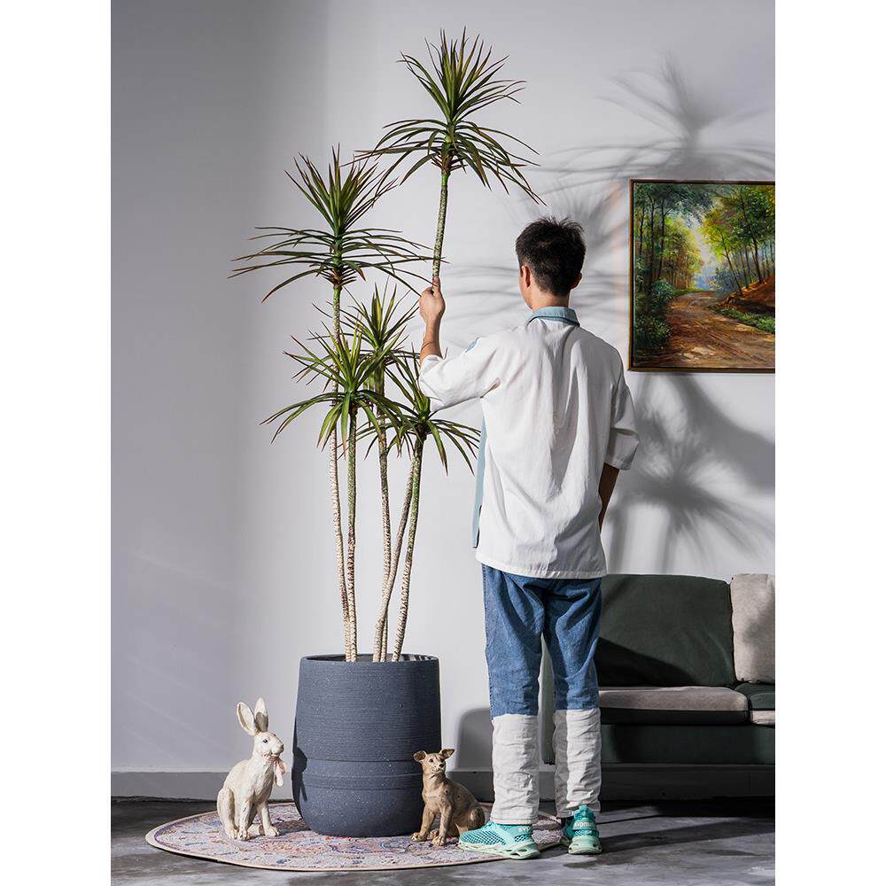 模拟龙血树千年木绿色植物盆栽假树室内客厅店园林绿化落地式装饰