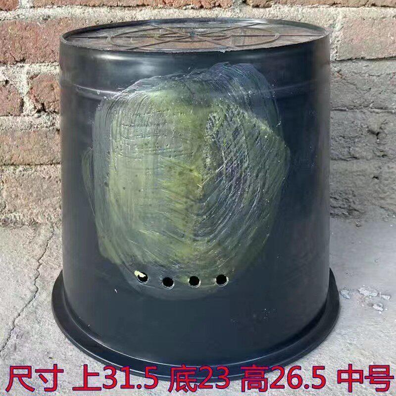 5个装诱蜂桶黑色塑料桶去耳钻孔引蜂桶养蜂桶带盖子和无盖