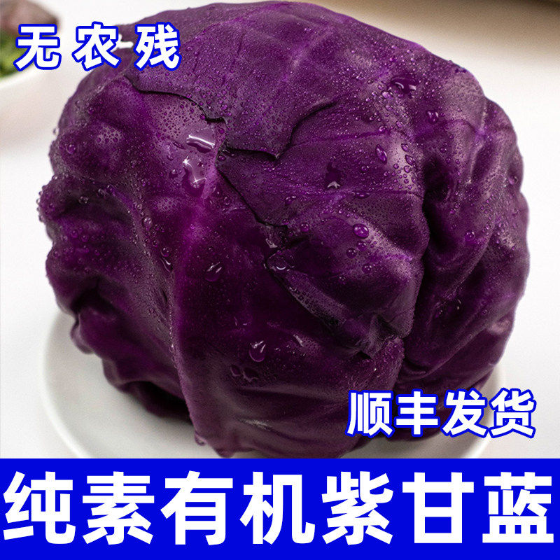 沈佳农有机紫甘蓝新鲜生吃紫包菜蔬菜配送榨汁生吃沙拉食材,水产肉类/新鲜蔬果/熟食,叶菜类,淘宝优惠券,粉丝福利购,淘宝优惠卷