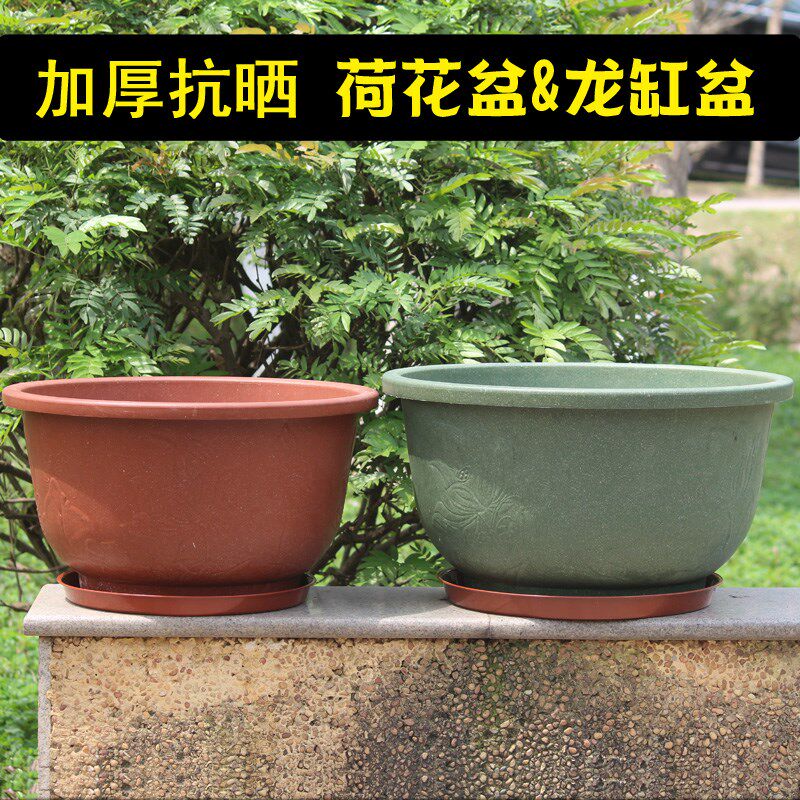 种树大花盆铝塑塑料加厚耐用龙缸盆庭院种果树盆景无孔水培荷花盆