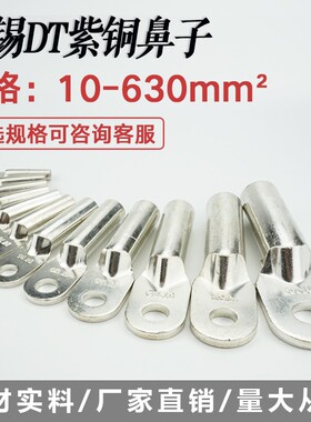 镀锡紫铜鼻子DT-50平方电缆电线铜线鼻铜管鼻 接线端子铜接头厂标