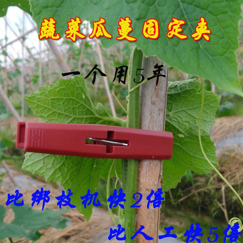 冬瓜夹子藤夹藤蔓固定夹绑枝绑蔓塑料夹瓜苗黄瓜扶藤夹多功能扶蔓