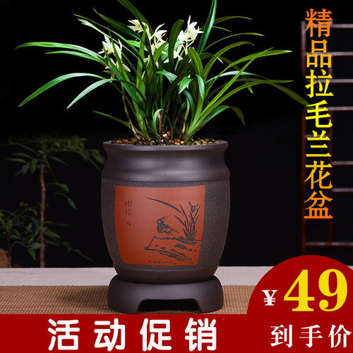 宜兴紫砂花盆君子兰花盆兰花盆客厅陶瓷花盆带托盘圆口手工花盆