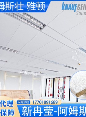 阿姆斯壮雅顿SL2暗架矿棉板3001200条形吸音磨砂吊顶天花W4667
