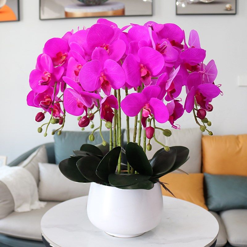高档仿真手感蝴蝶兰花家居装饰花客厅假花电视柜玄关茶几酒柜摆件,家居饰品,仿真花/假花,淘宝优惠券,粉丝福利购,淘宝优惠卷