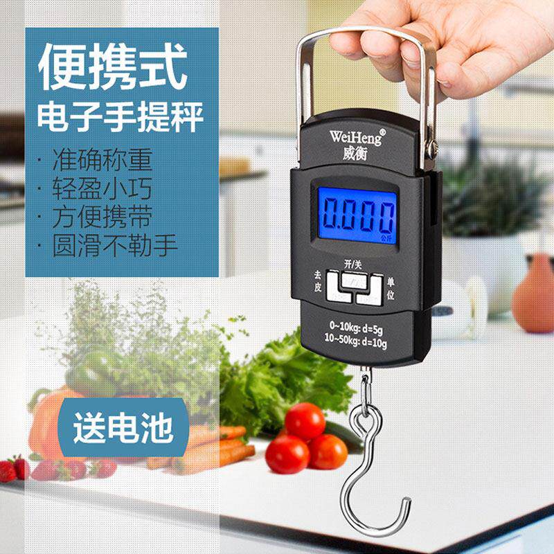 威衡手提电子秤家用小秤 50公斤可携式迷你称鱼器快递员专用钩称