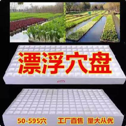 漂浮育苗盘泡沫穴盘花草培养长方形多孔板圆孔105穴耐用栽种植