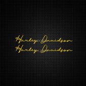 新款 字体贴纸复古机车贴纸连体英文车身反光贴防水 哈雷油箱个性